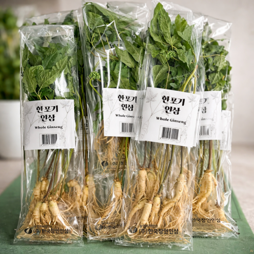 한포기 인삼 (생인삼)